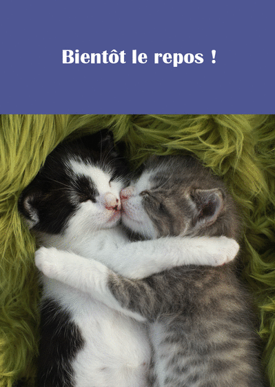 Carte Du Repos Pour Les Petits Chats : Envoyer une Carte 